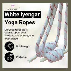 Iyengar Yoga wall ropes (Set of 2 Long )