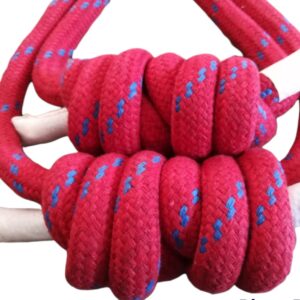 Iyengar Yoga Wall Ropes-set of 4(2Long & 2 Small ropes) (Red)